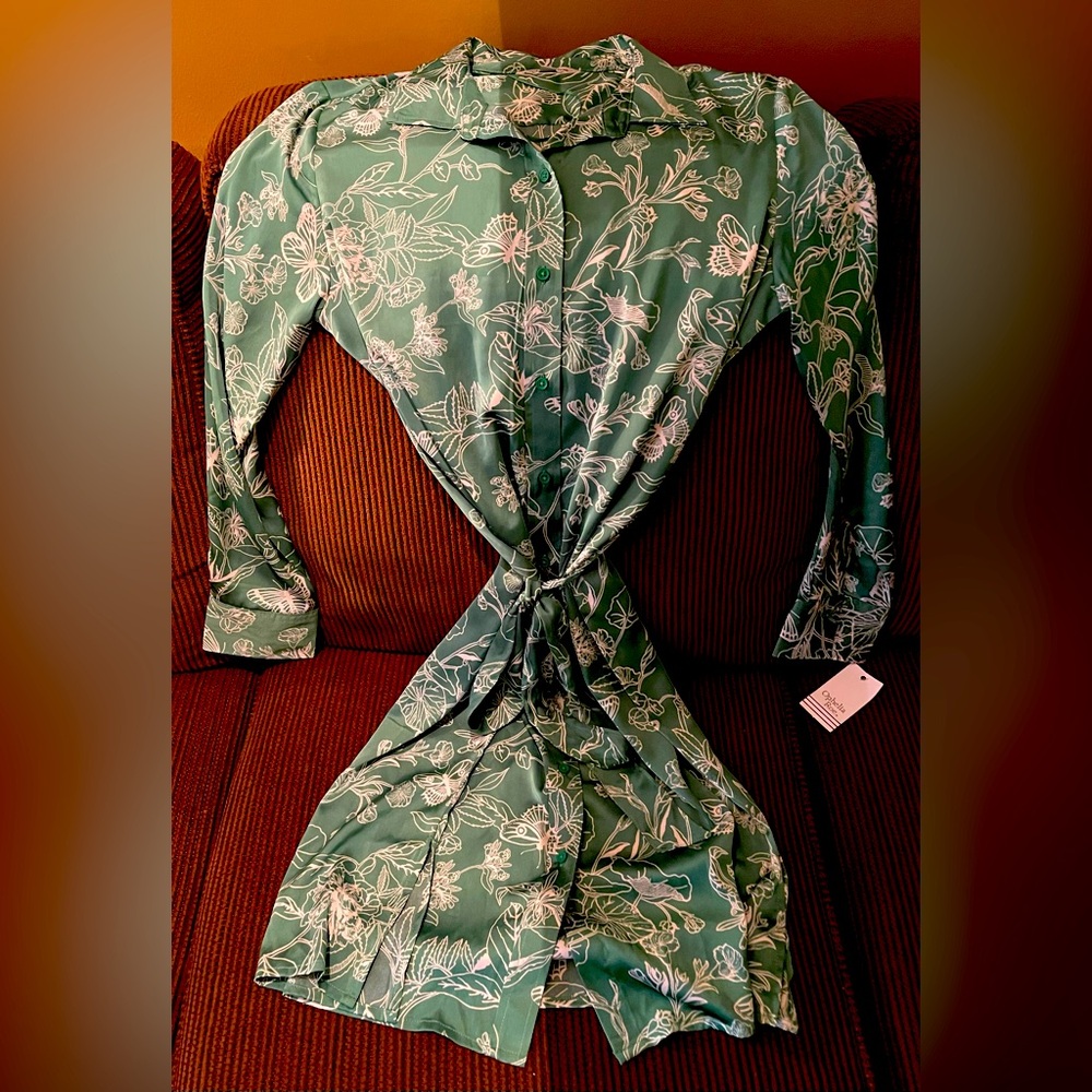 Ophelia Roe Kelly Green Butterfly Floral Print Shirt Dress Size L NWT